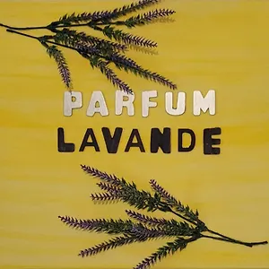 Parfum Lavande Appartement